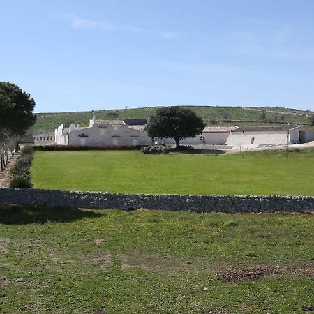 Masseria Torre Di Nebbia Castel Del Monte  Dış mekan fotoğraf